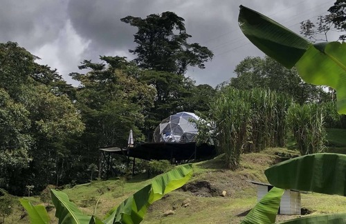 San Francisco Maison | It is a beautiful luxury glamping site located next to a forest reserve and a great view.