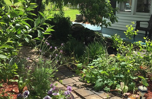 Burdett Maison | Ferme gracieuse sur la route des vins du lac Seneca