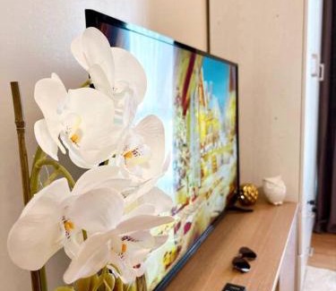 Lahug Appartement | IT Park Gem - Cozy Studio with Netflix and Pool Access