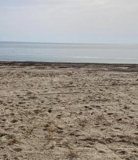 Contrada Taverna Appartement | Nel villaggio il Monolocale tra gli ulivi
