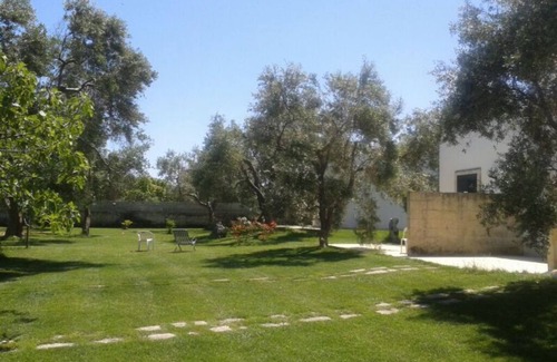 Torre Specchia Ruggeri Maison | Vacation home sea and olive trees 3