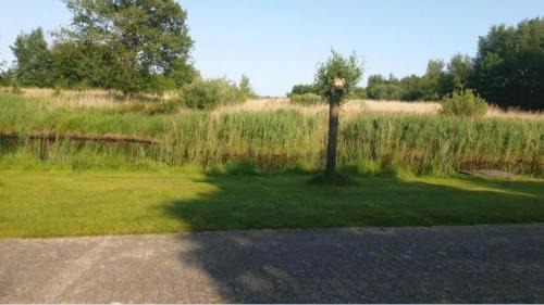 Earnewald Autre | It wiide sicht