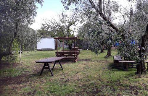 Ciampino Lit Et Petit-Déjeuner | 40 m² Chambre d'hôtes ∙ 7 personnes