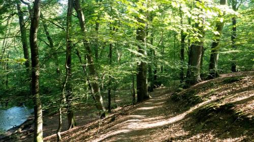 Reinbek Hôtel | ITM Hotel Bettkästchen am Sachsenwald