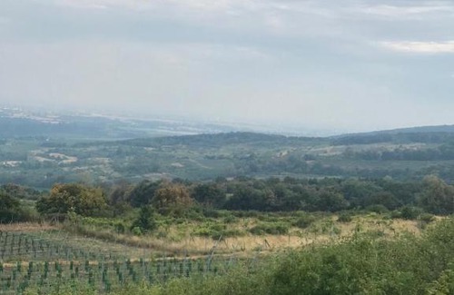 Svaty Jur Autre | Ivi karavan na čarovnom mieste