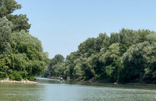 Csongrad Maison | Jókai 10 Vendégház Présház Csongrád