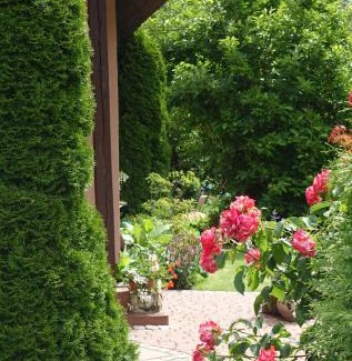 Pila Maison | "Jabłonie i grusze" Nice home in a big garden with sauna and wifi