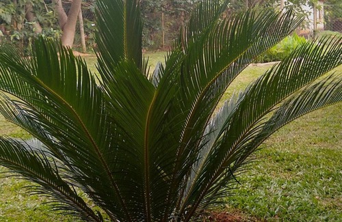 Jaboticatubas Maison | Jacarandá Chalés em SÃO José DA Serra MG