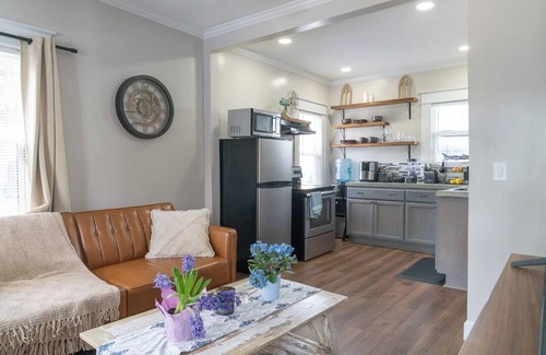 Historic Uptown Appartement | Jackson St Blues Urban Oasis in Historic Uptown St Petersburg FL