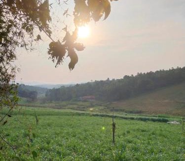 Meenangadi Lit Et Petit-Déjeuner | Jacob's Homestay