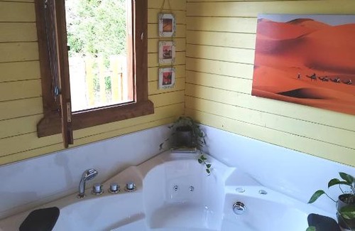 Ferolles Appartement | Jacuzzi Balnéo piscine "La Palmeraie Oasis"