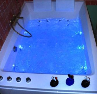 La Chapelle-sur-Loire Maison | Jacuzzi et Vue sur Loire - Maison d'hôtes L'Odyssée