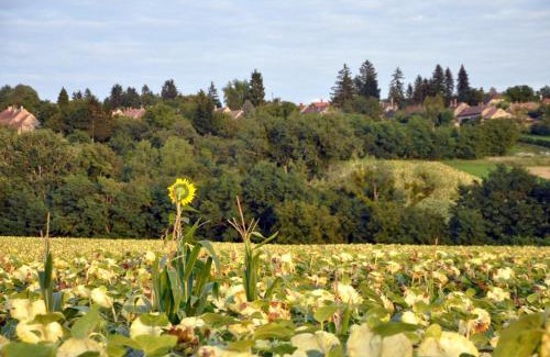 Rezi Appartement | Jacuzzi, Hot Tub, and Sauna Retreat near Hévíz