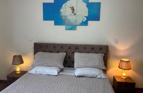 Kirkos Appartement | Jambo apartment 2