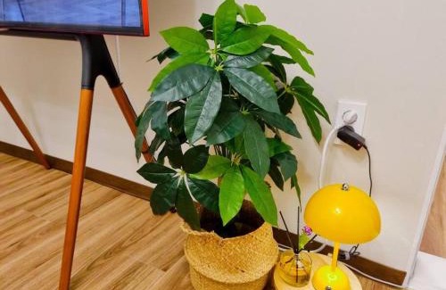 Jamsil-dong Appartement | Jamsil Heaven
