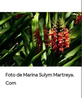 Puerto Iguazu Maison | Jardín de Naipí 3