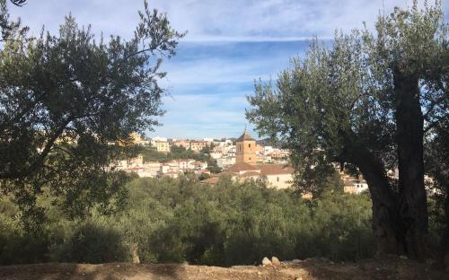 Pinos del Valle Appartement | Jardin Andaluz Appart Alhambra