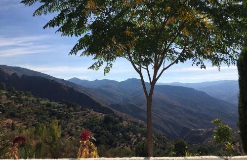 Pinos del Valle Appartement | Jardin Andaluz Appart Alhambra
