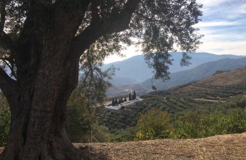 Pinos del Valle Appartement | Jardin Andaluz veleta