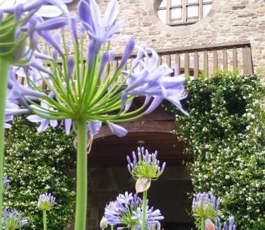 Carrejo Hôtel | Jardin de Carrejo