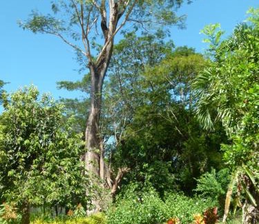 Jicaral Autre | Jardines del Golfo