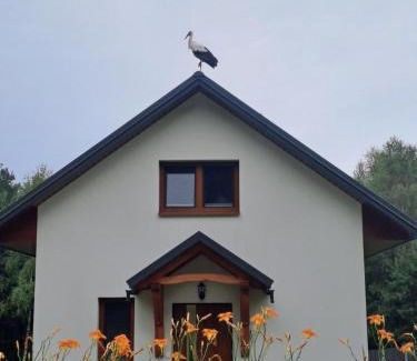 Tomaszow Lubelski Maison | Jaskółka Roztocze
