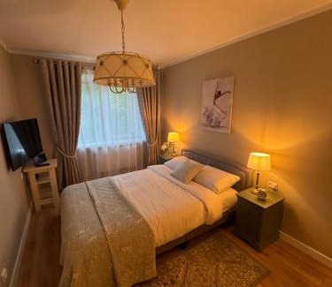 Panevezys county Appartement | Jaukus apartamentas Birzu centre