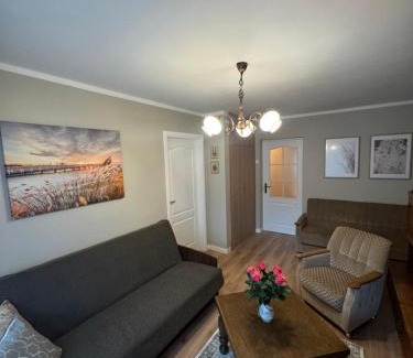 Panevezys county Appartement | Jaukus apartamentas Birzu centre