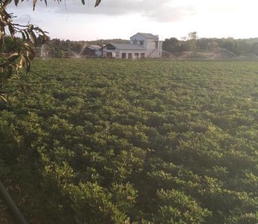 Haripur Hôtel | Jay jalaram farm and risort