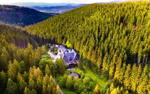 Kowary Hôtel | Jelenia Struga MEDICAL SPA