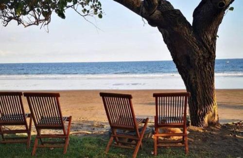 Negara Maison | Jembrana Bali Homestay