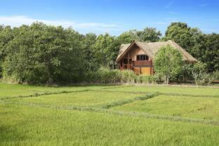 Kimbissa Station Balnéaire | Jetwing Vil Uyana, A Luxury Reserve