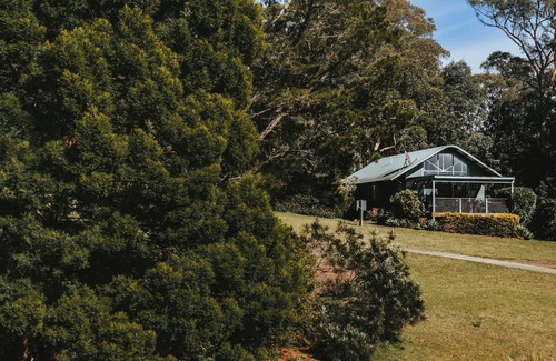 Kangaroo Valley Cabine | Jimmy’s Cabin in Kangaroo Valey. Kangaroos, Kookaburras, sleeps 4!