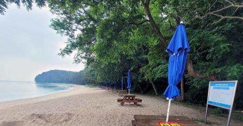 Jincheon Autre | Jincheon Daol Camp Site