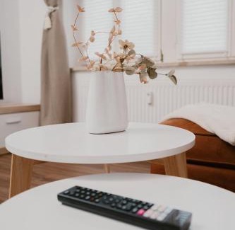 Striesen Appartement | JINO Dresden l familienfreundlich - Küche - modern
