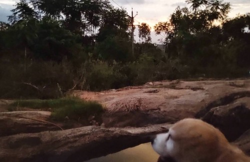 Denkanikota Location De VR | JoE- Amidst Nature campground in Thalikothanur - CAMPSITE 1