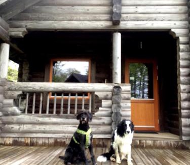 Ullared Cabine | Joe Getaway - Stugby i Ullared