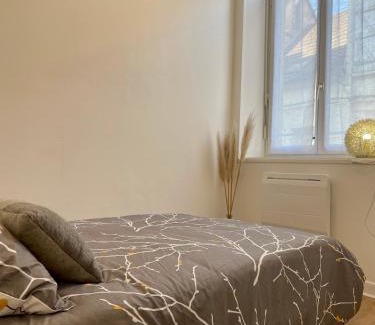 Chateau-Thierry Appartement | Joli appartement au coeur de ville