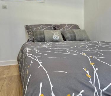 Chateau-Thierry Appartement | Joli appartement au coeur de ville