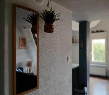 Agen Appartement | Joli appartement en centre ville et au calme
