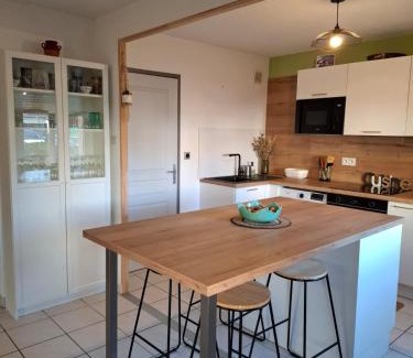 Castres Appartement | Joli Appt La Pérouse, Centre ville, Rez de Jardin