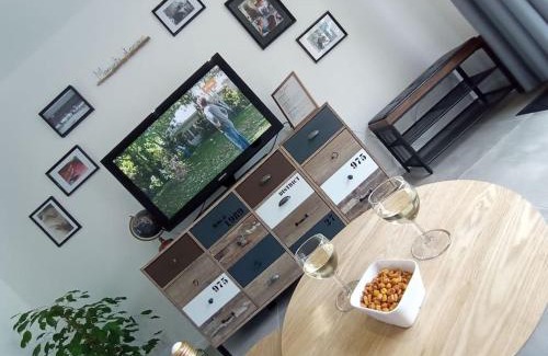 Nerac Appartement | Joli gîte indépendant au calme tout confort wifi climatisation draps et serviettes incluses parking gratuit
