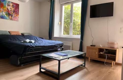 Toul Appartement | Joli studio au rdc avec cour