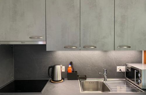 Lavey-Morcles Appartement | Joli Studio près des Bains de Lavey