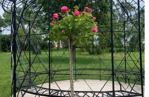 Taix Maison | Jolie maison avec cheminée, à la campagne