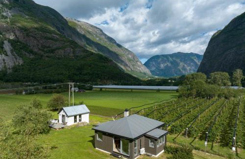 Tonjum Maison | Jordeplegarden holiday home - Part of a farm - Two buildings - Close to Flåm
