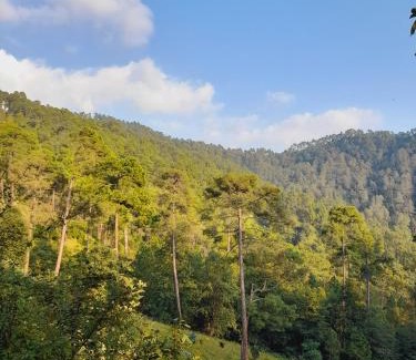 Almora Cabine | Joshi Cottage Binsar