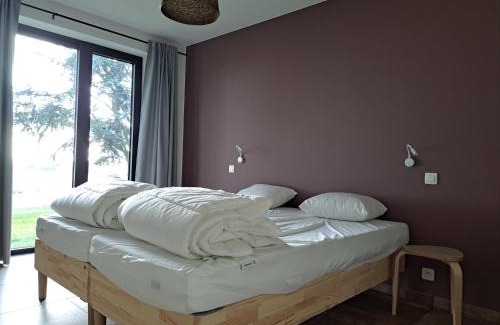 Tournai Maison | Jubaru