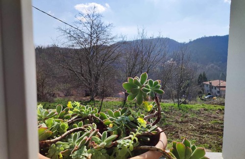 Vernazza Appartement | Jujube House. Cozy accommodation in the Ligurian hills