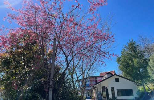 Ren'ai Maison | Julie's Garden, Cingjing - Fon Chin Homestay